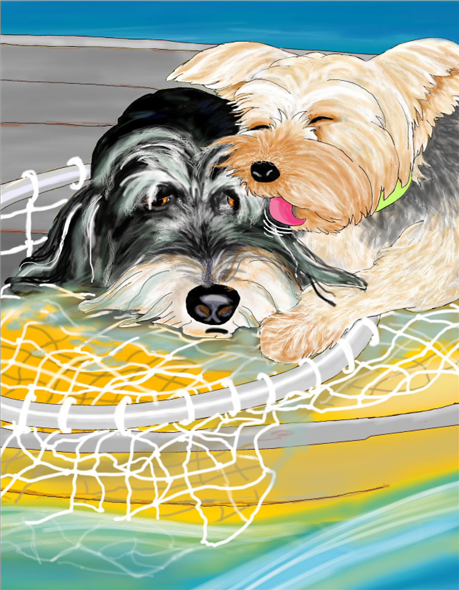 Henry and Rocket, Illustration by Elizabeth B Martin