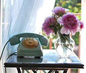 One half-hour phone visit with Carol Lynn