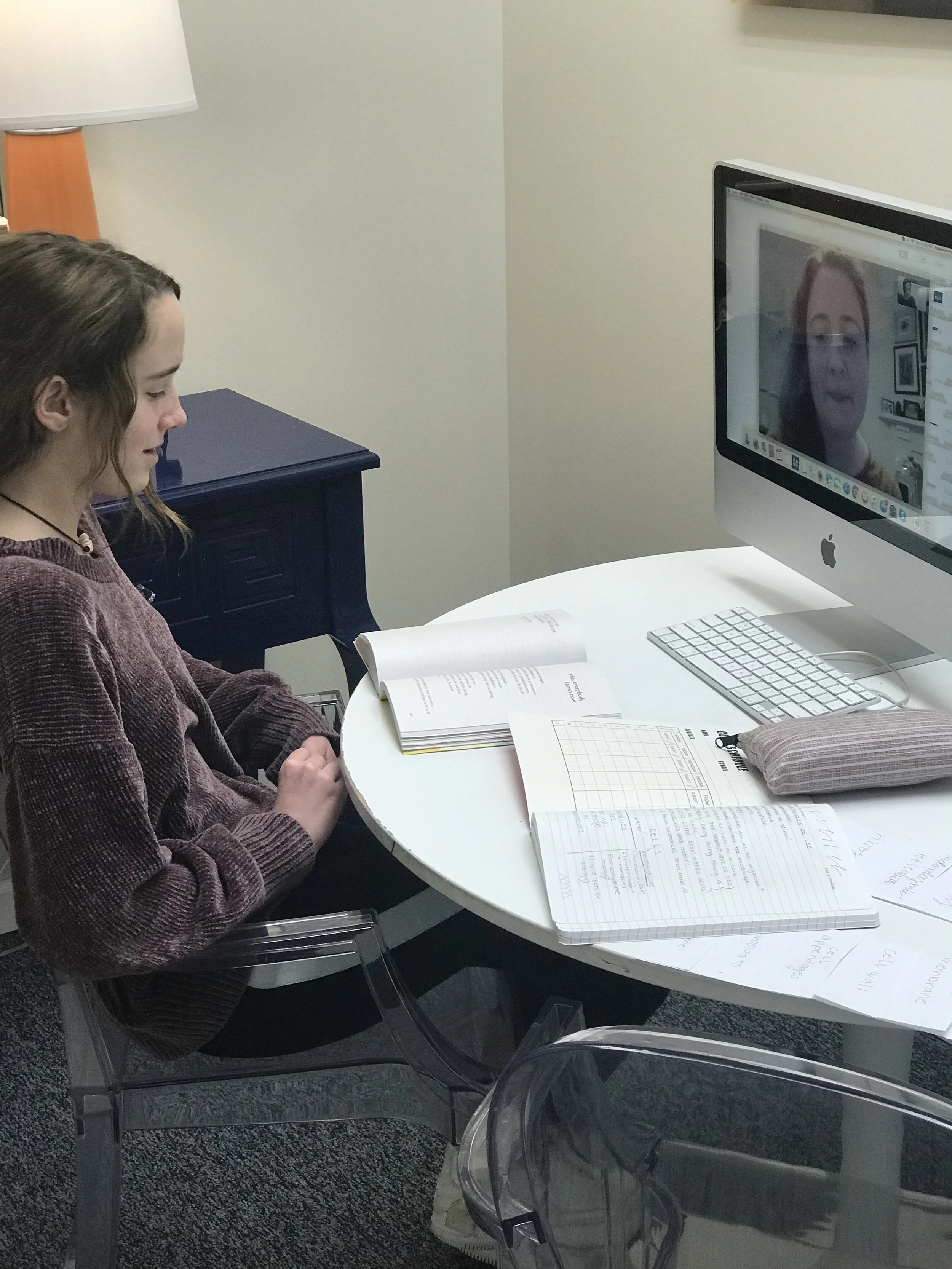 Virtual Homeschool During Coronavirus