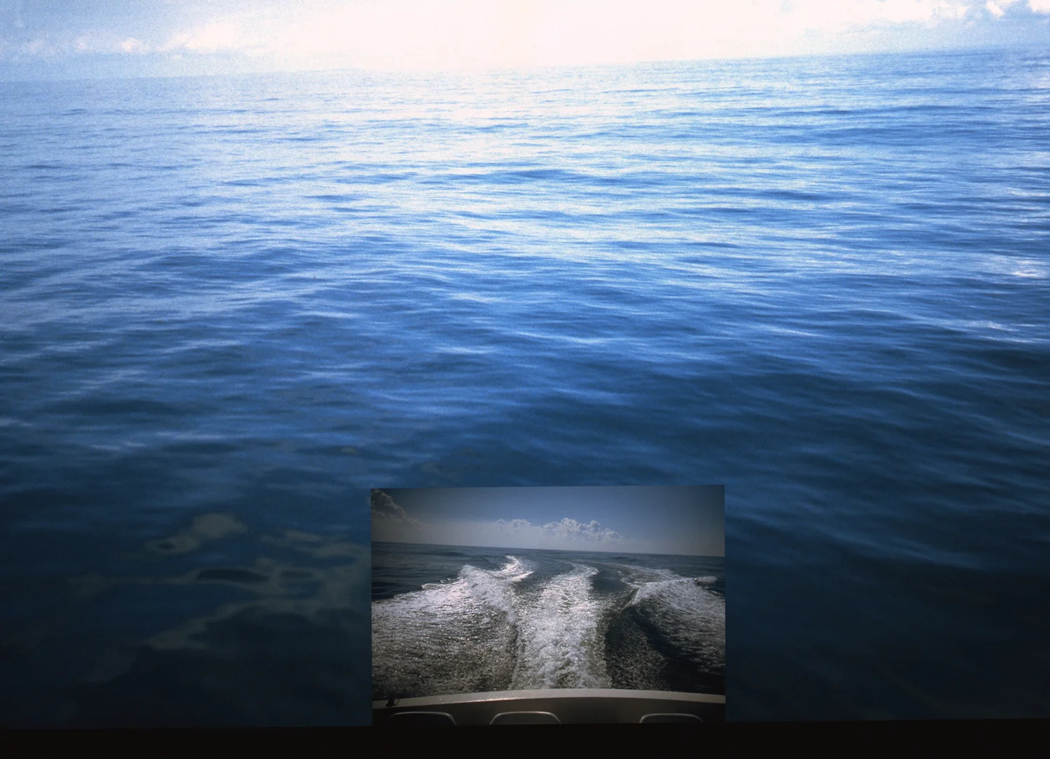 ANAF_Video_Still_WEB.jpg