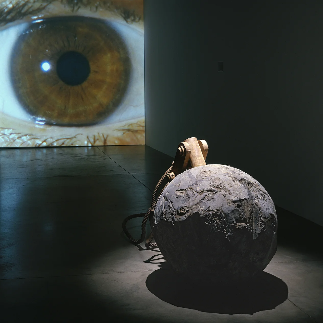 TEAR_Installed_at_LA_01_Web_Thumbnail.jpg