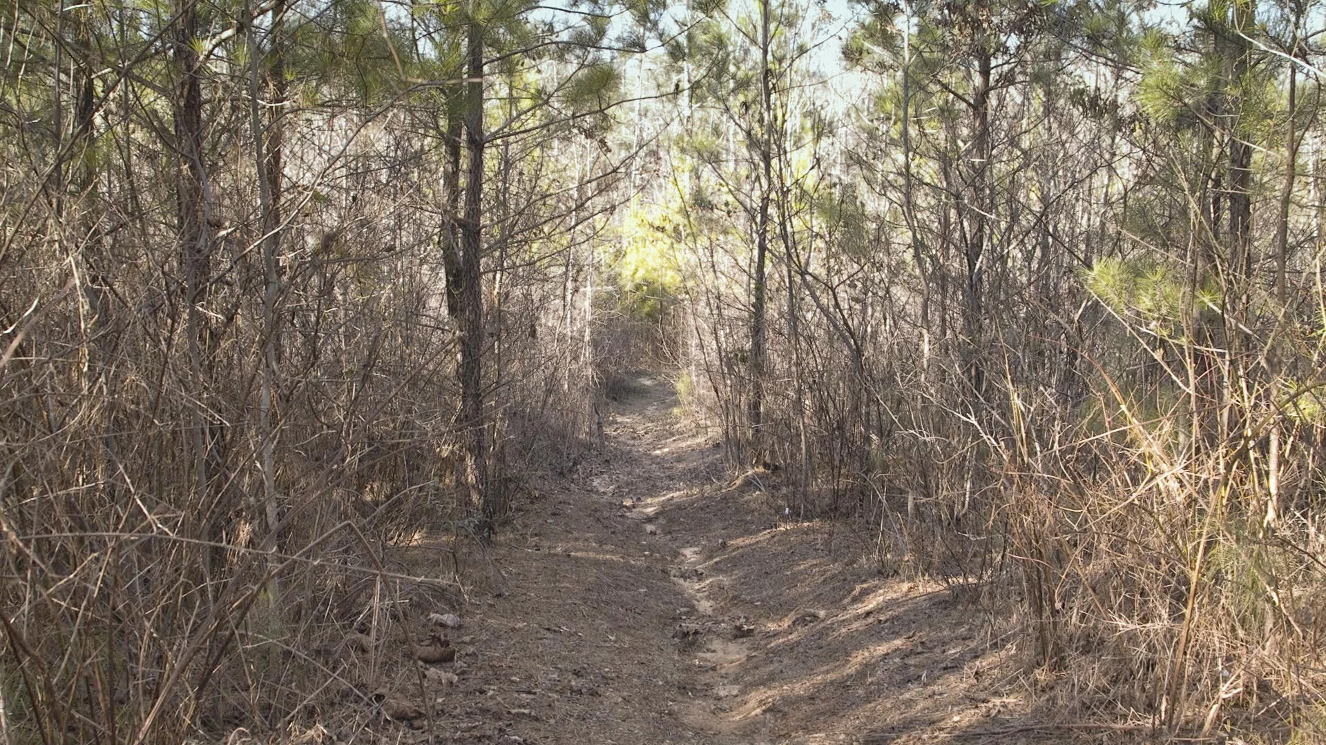 Trail-1-Vintage Effects Second Set.jpg