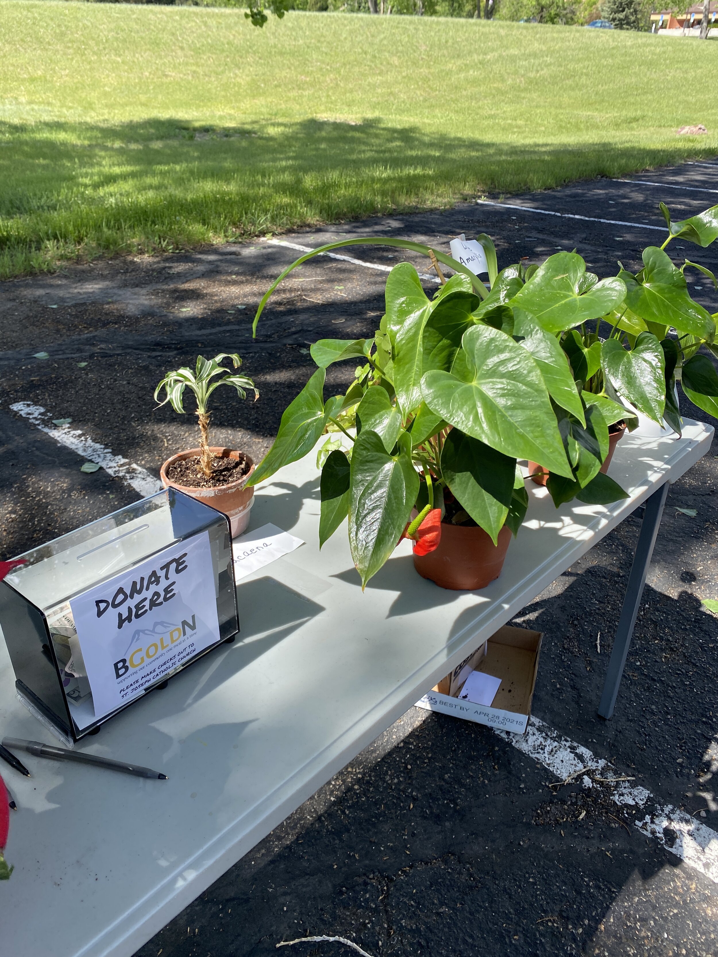 Come Help at Our Pentecost Plant Sale!