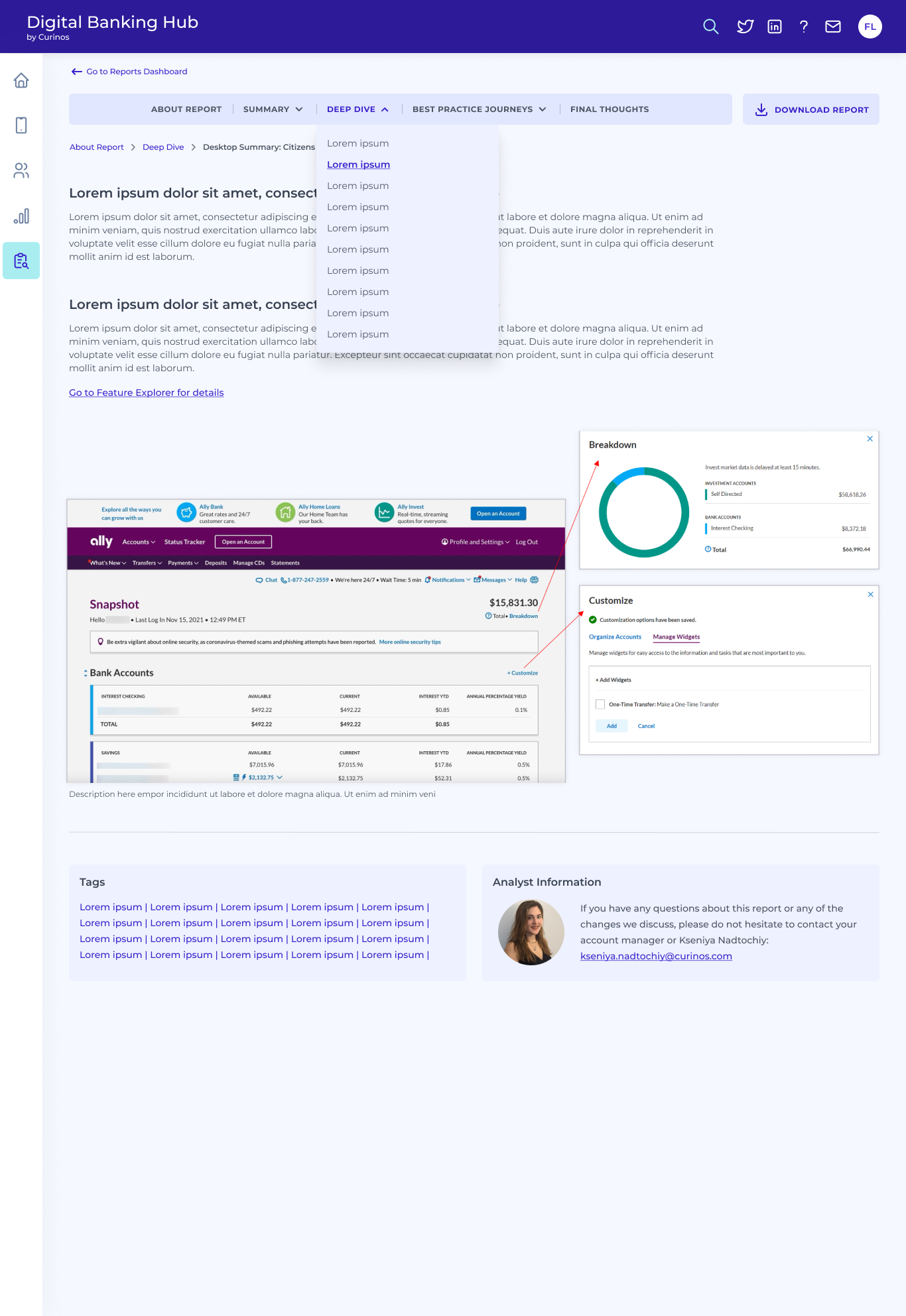 DBH - Reports Content Page - Deep Dives pg 2 - with tabs.png