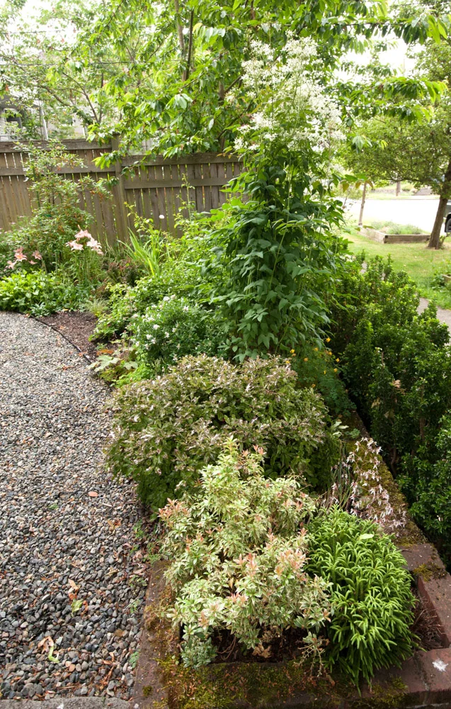 front planting.jpg