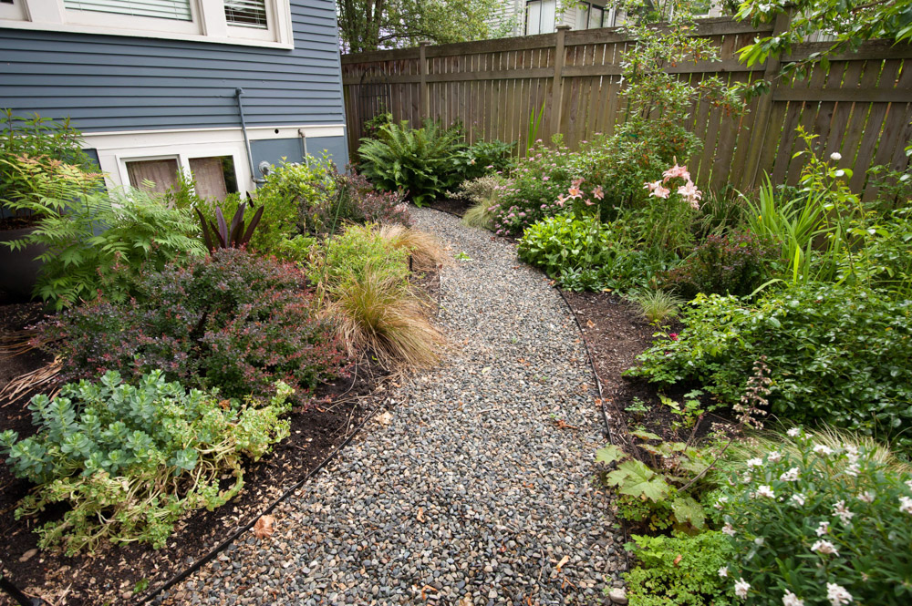 path right front.jpg