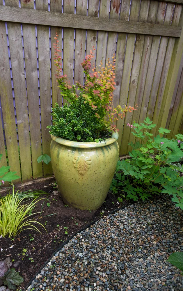 yellow planter.jpg