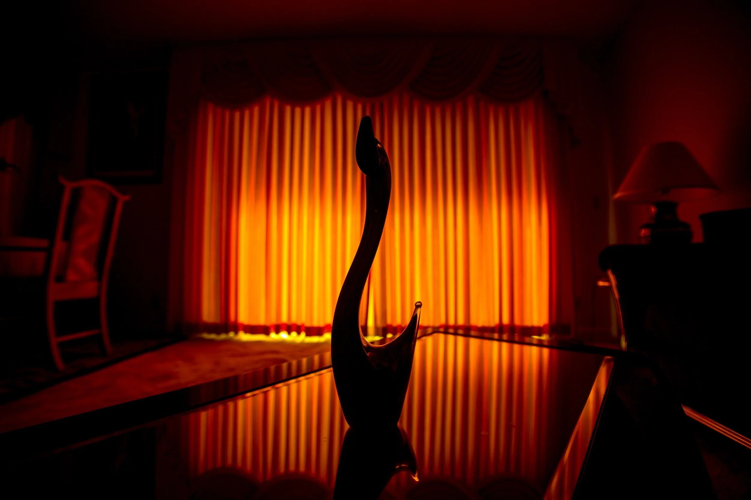 ED7F861A-E353-4A67-94A5-E3EB263696BB