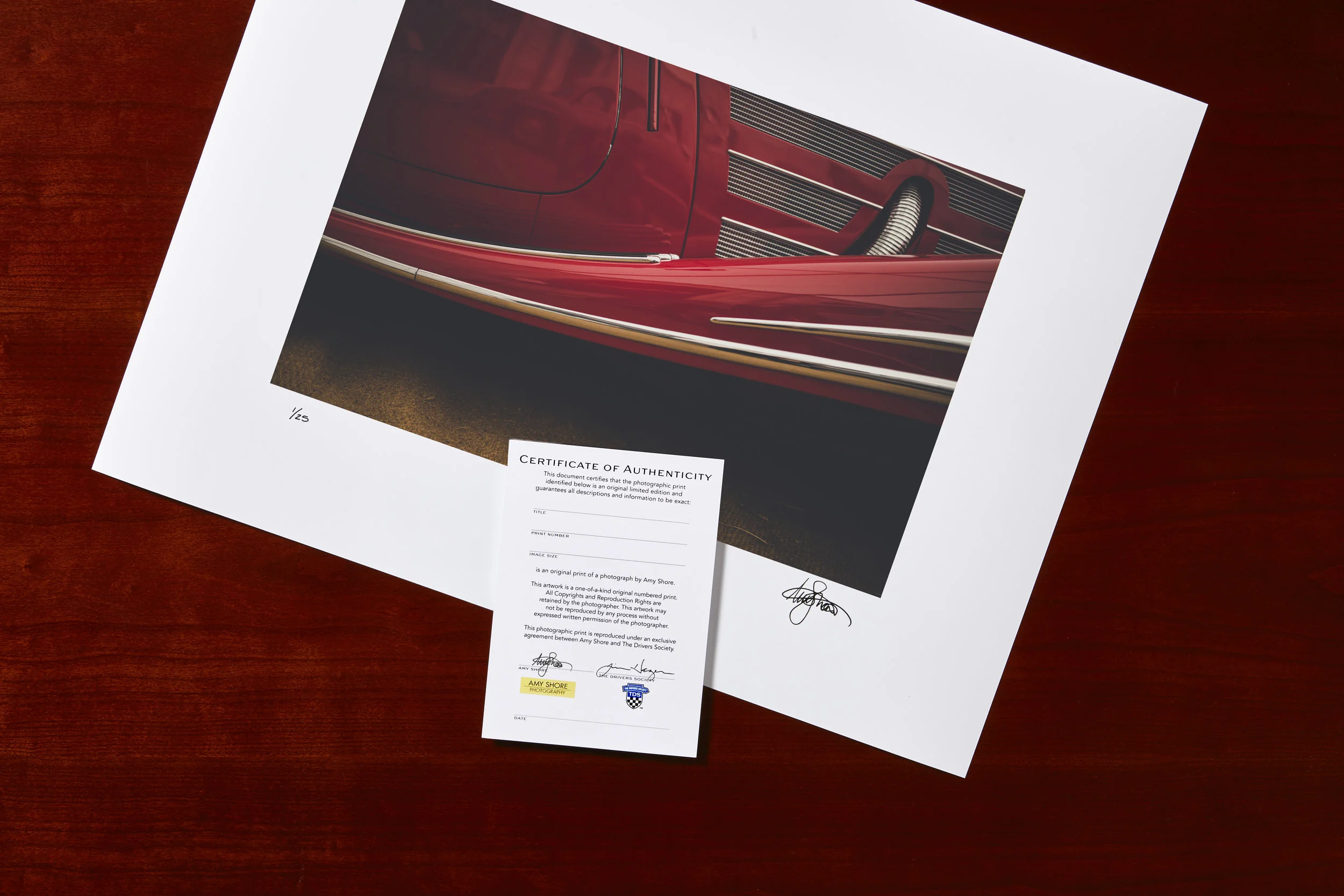 Photog_PaperCofA__0009_red elegance.jpg