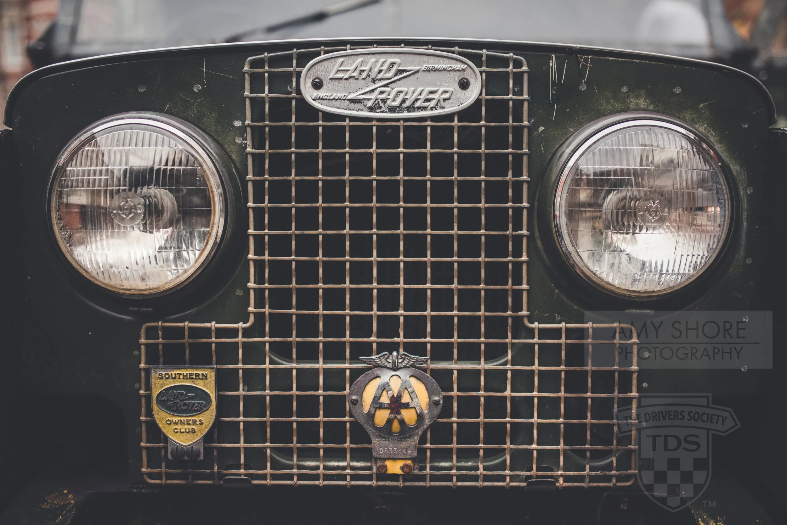Old Green Girl-2.jpg