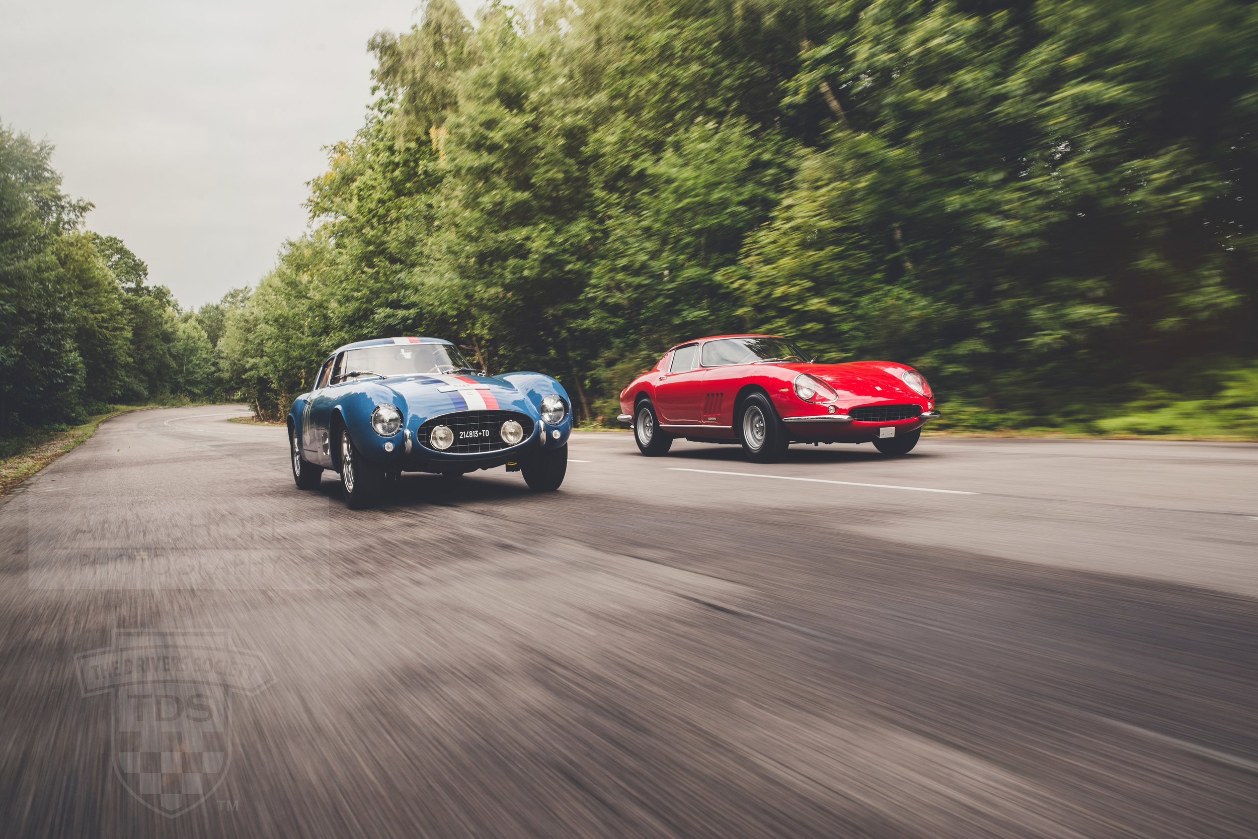 Prancing Horses-2.jpg