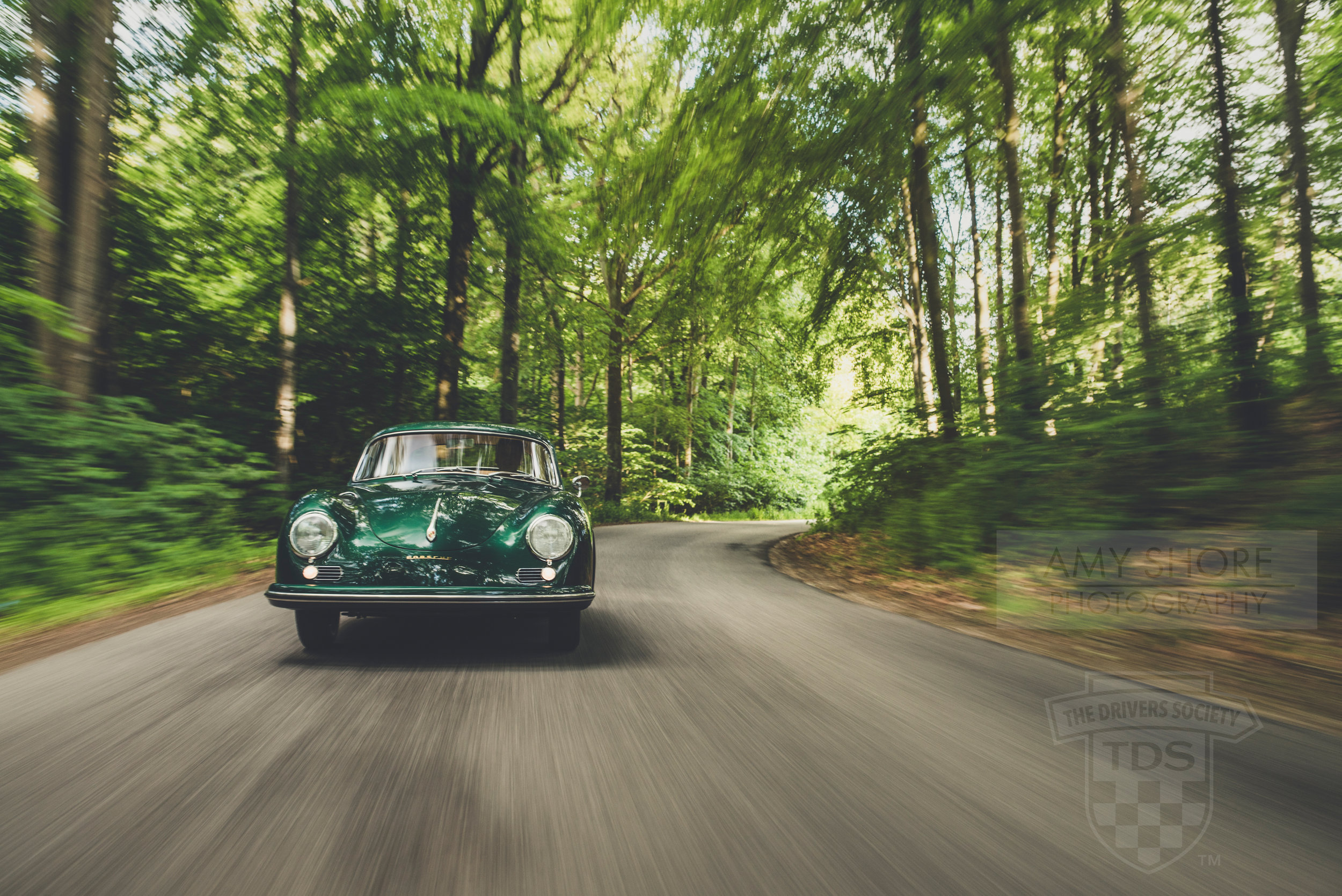 Through the Trees-2.jpg