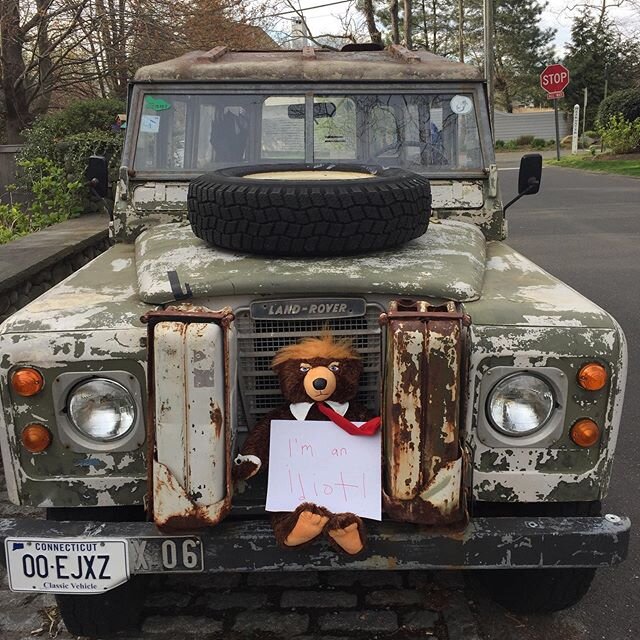 Introspective near as seen by ace snapper PB in CT #oldlandrover #landrover #teddybear #carsofinstagram #drivetastefully #thedriverssociety