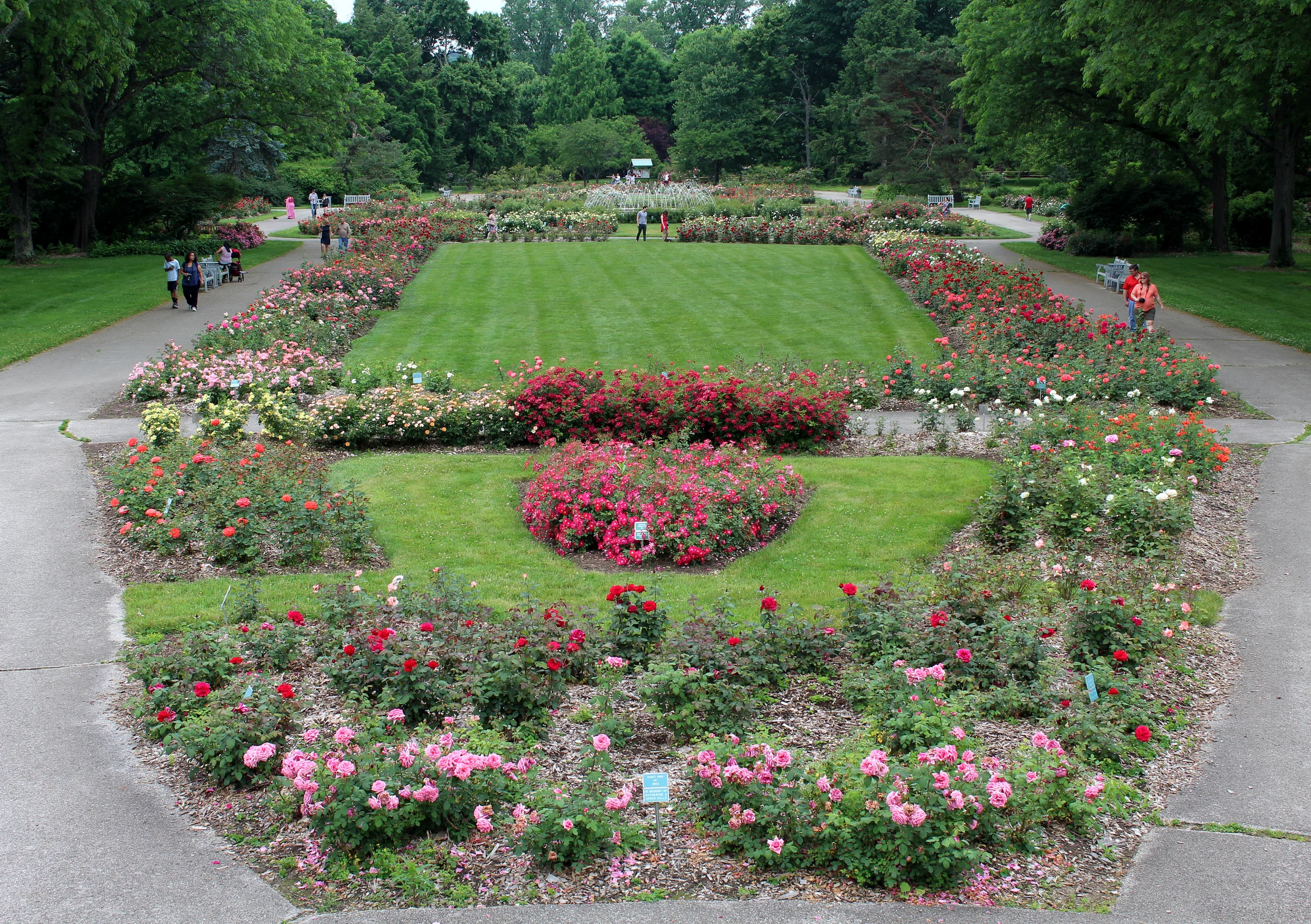Overlooking the Park of Roses