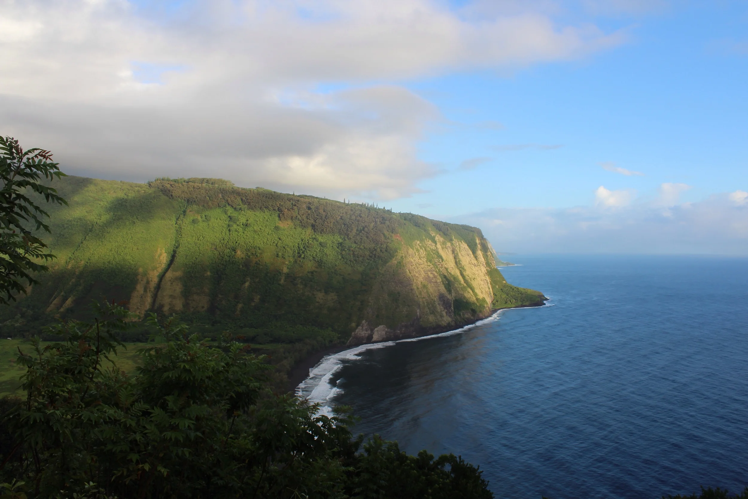 View from the lookout