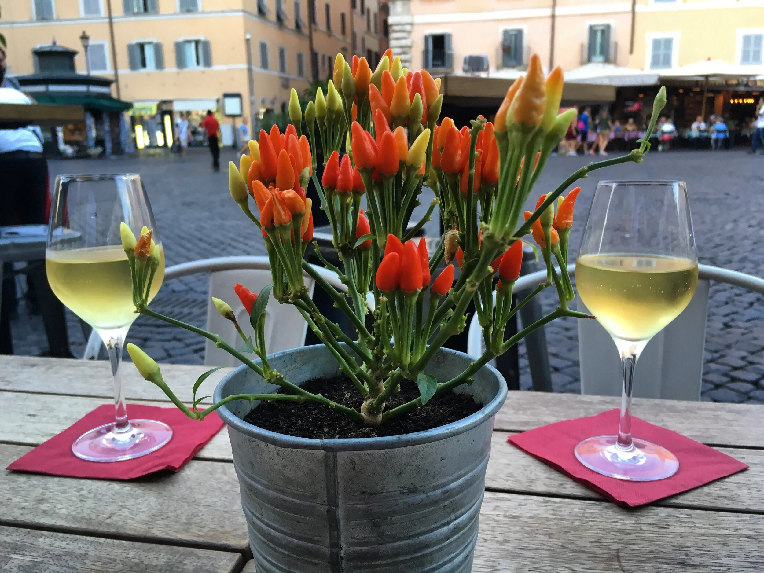 Dinner in the square.