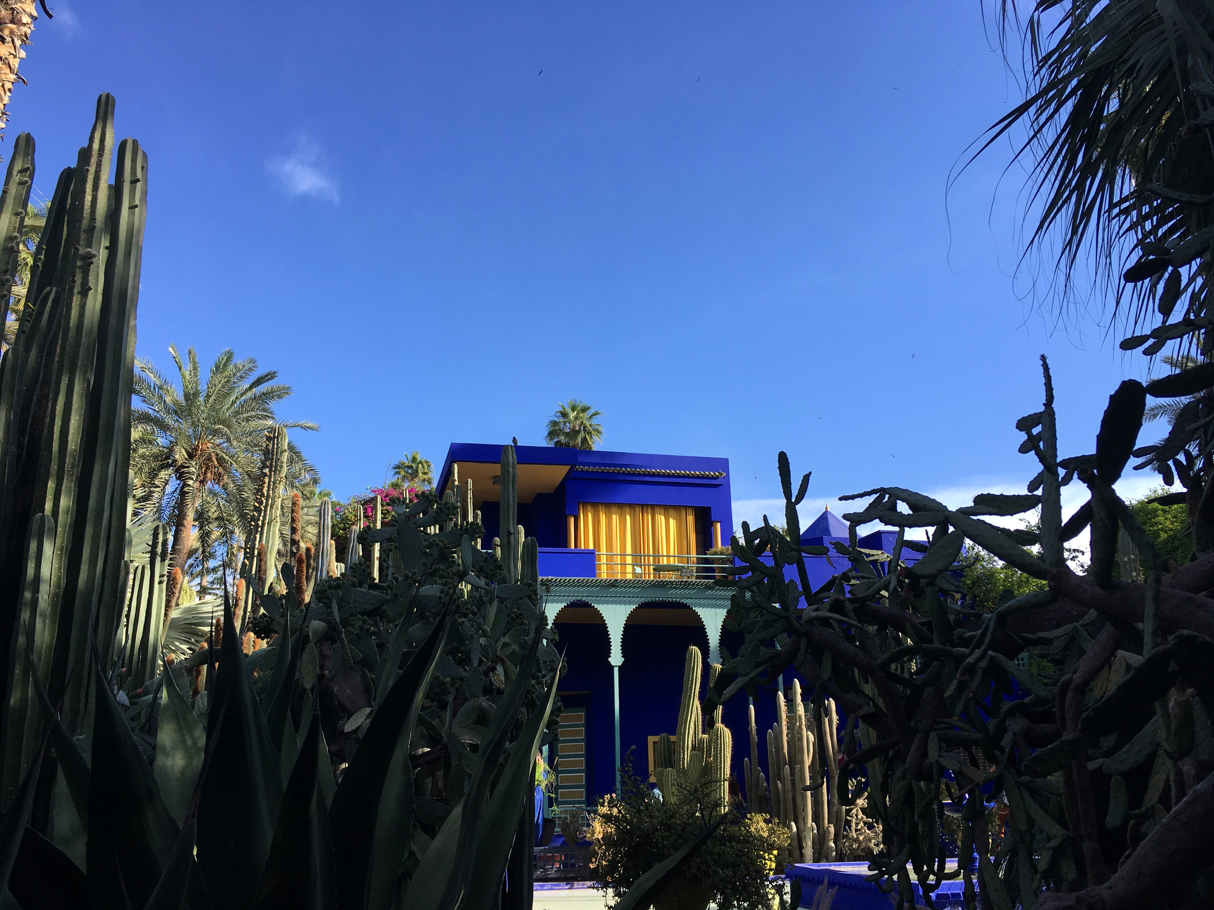 Le Jardin Majorelle. Marrakech, Morocco. 