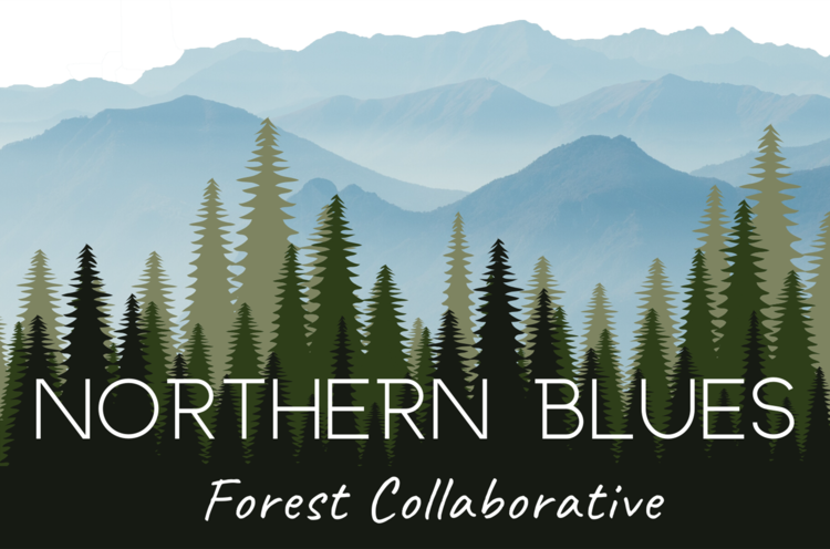 Northern Blues Forest Collaborative