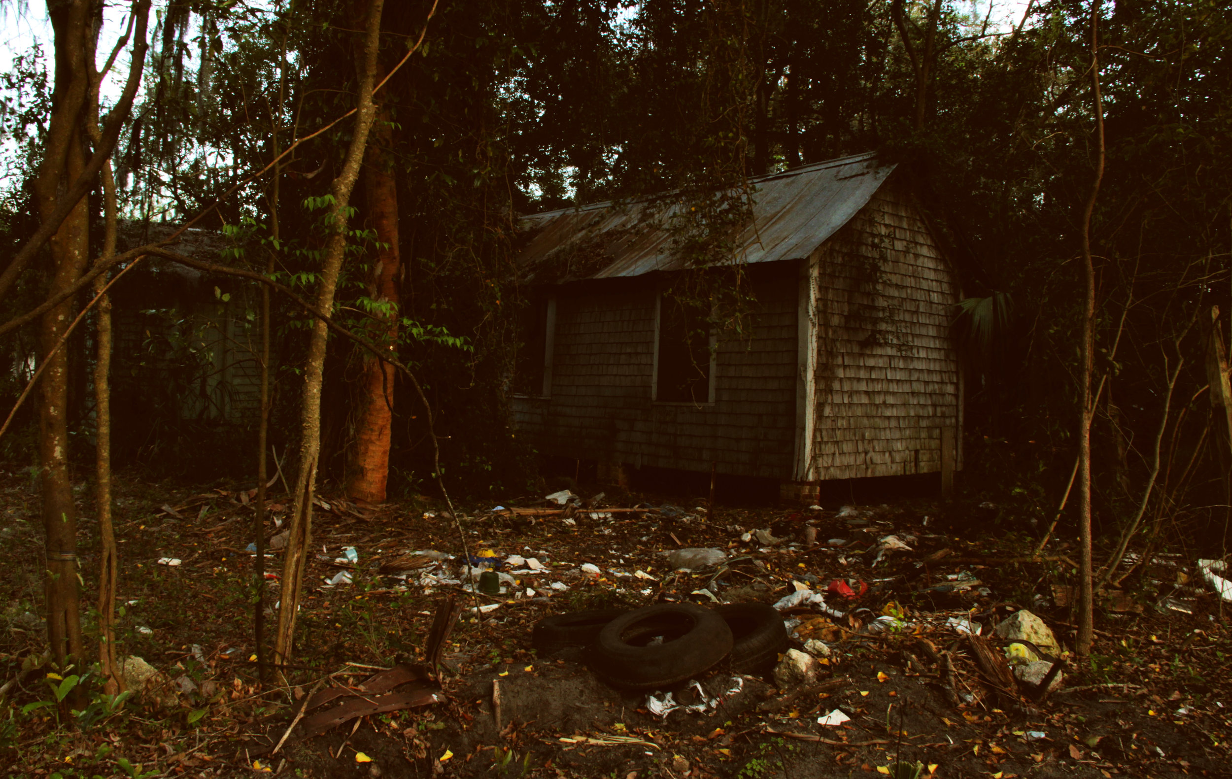 Gainesville Neighborhood