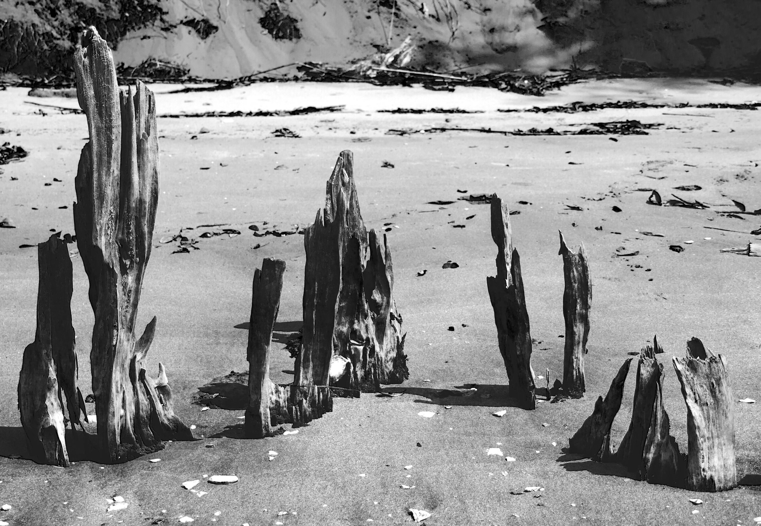 Shoreline