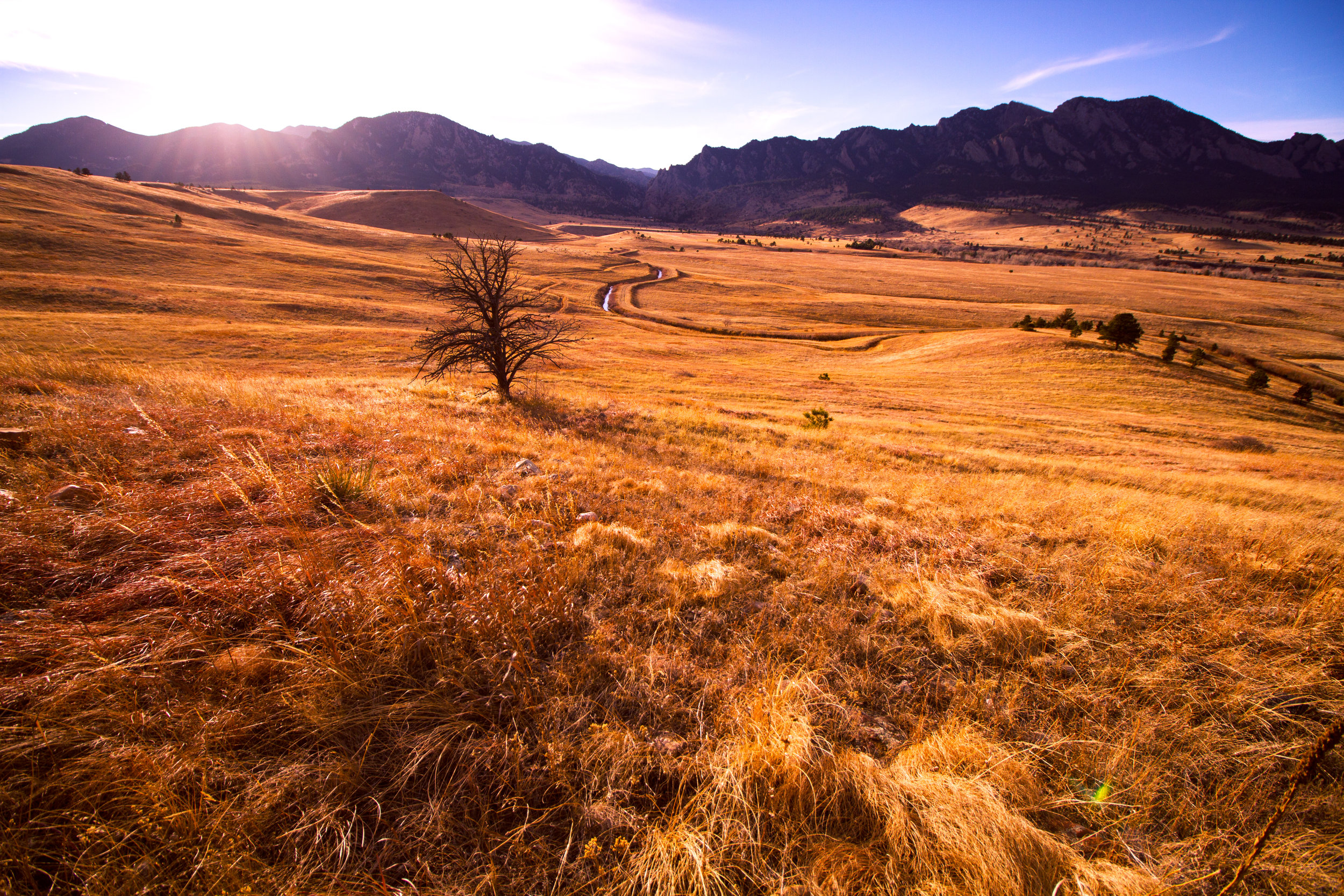 Rocky Mountain Line