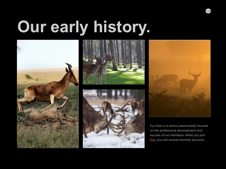 Slide105.jpg