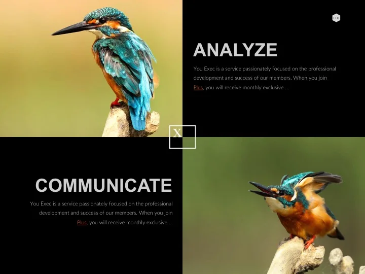 Slide110.jpg