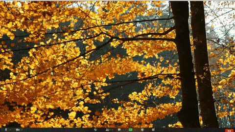 Zoom Backgrounds With Images And Videos You Exec Zoom Backgrounds With Images And Videos You Exec
