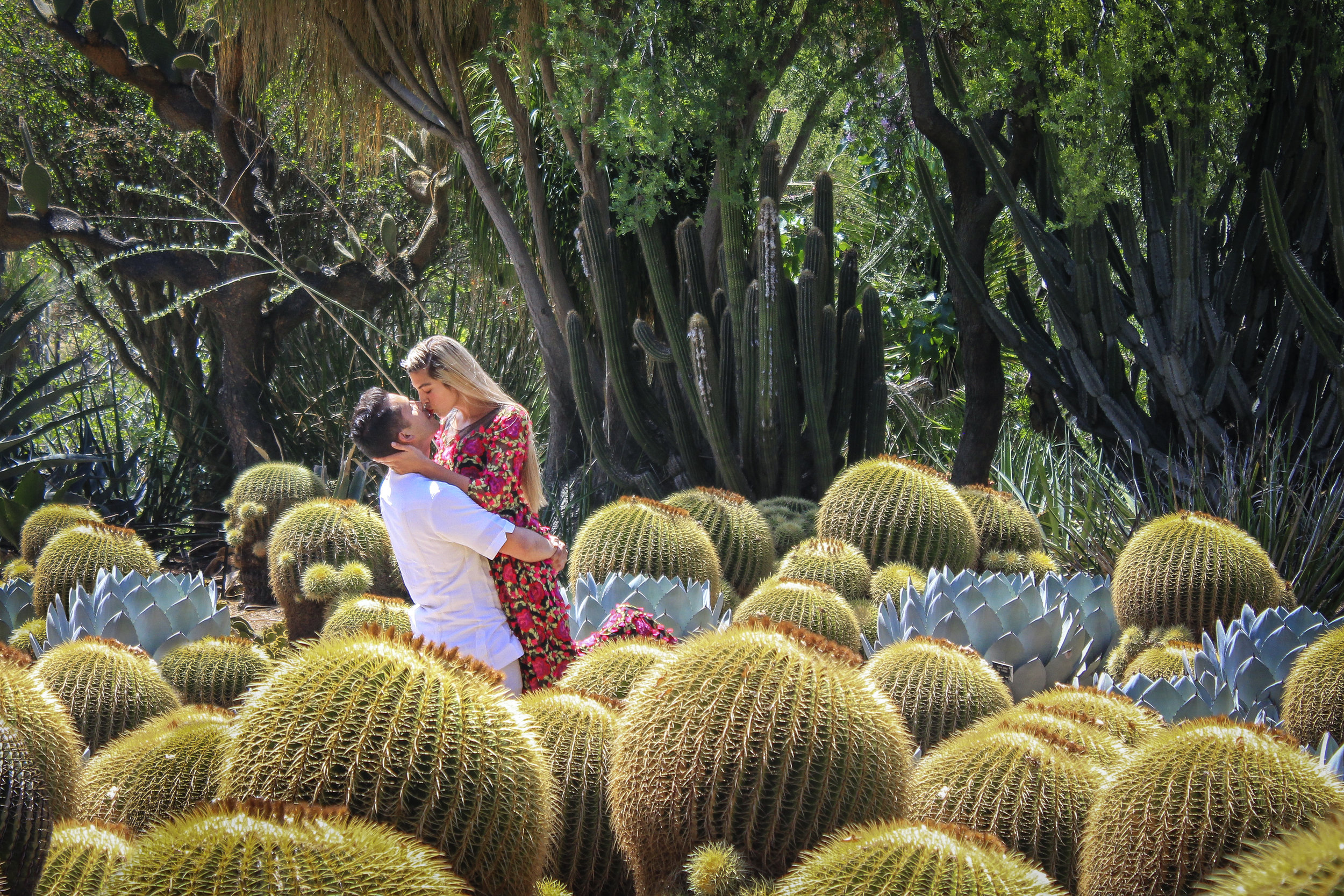 Kissing In a cactus patch