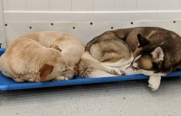 Sometimes everyone will take a short break at the same time together!