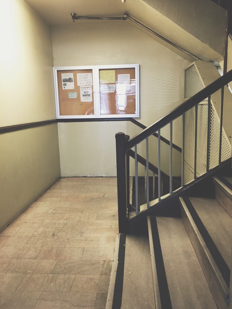 public.jpeg