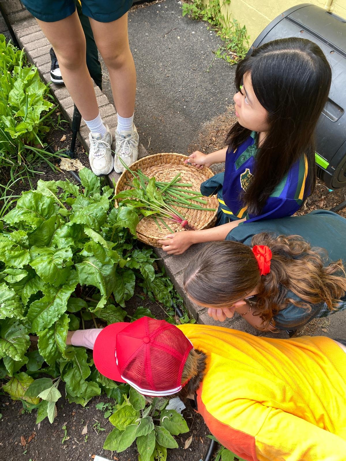 WhatsApp Image 2026-03-06 at 16.05.14.jpeg