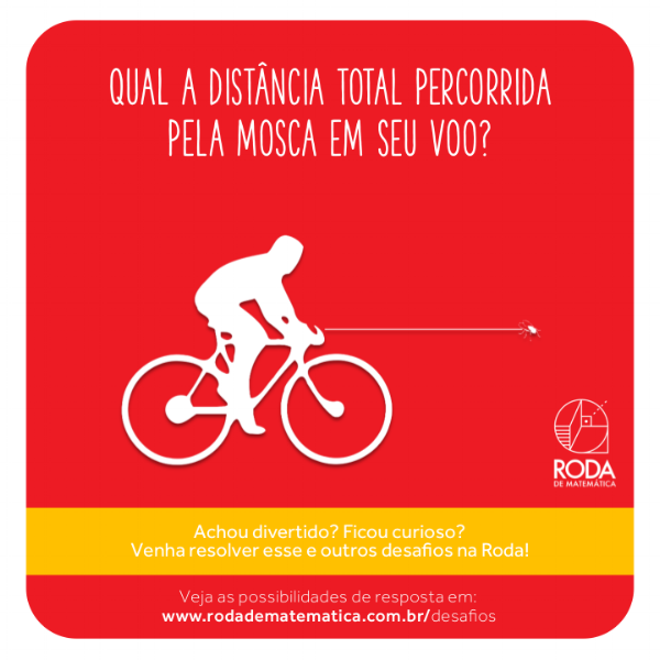 desafio-roda-de-matematica-12.png