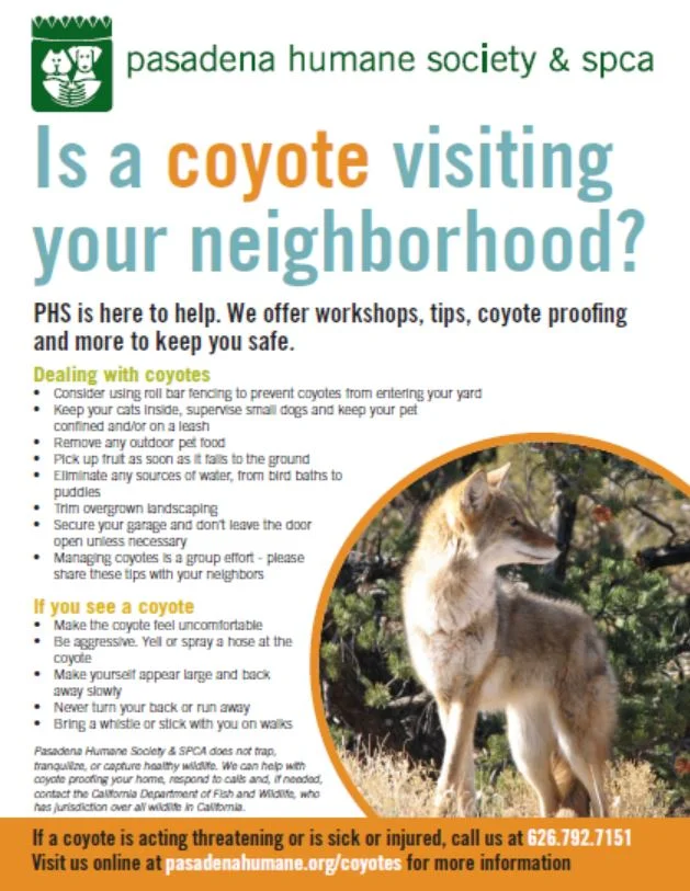 Special Meeting About Coyotes in Our Neighborhood