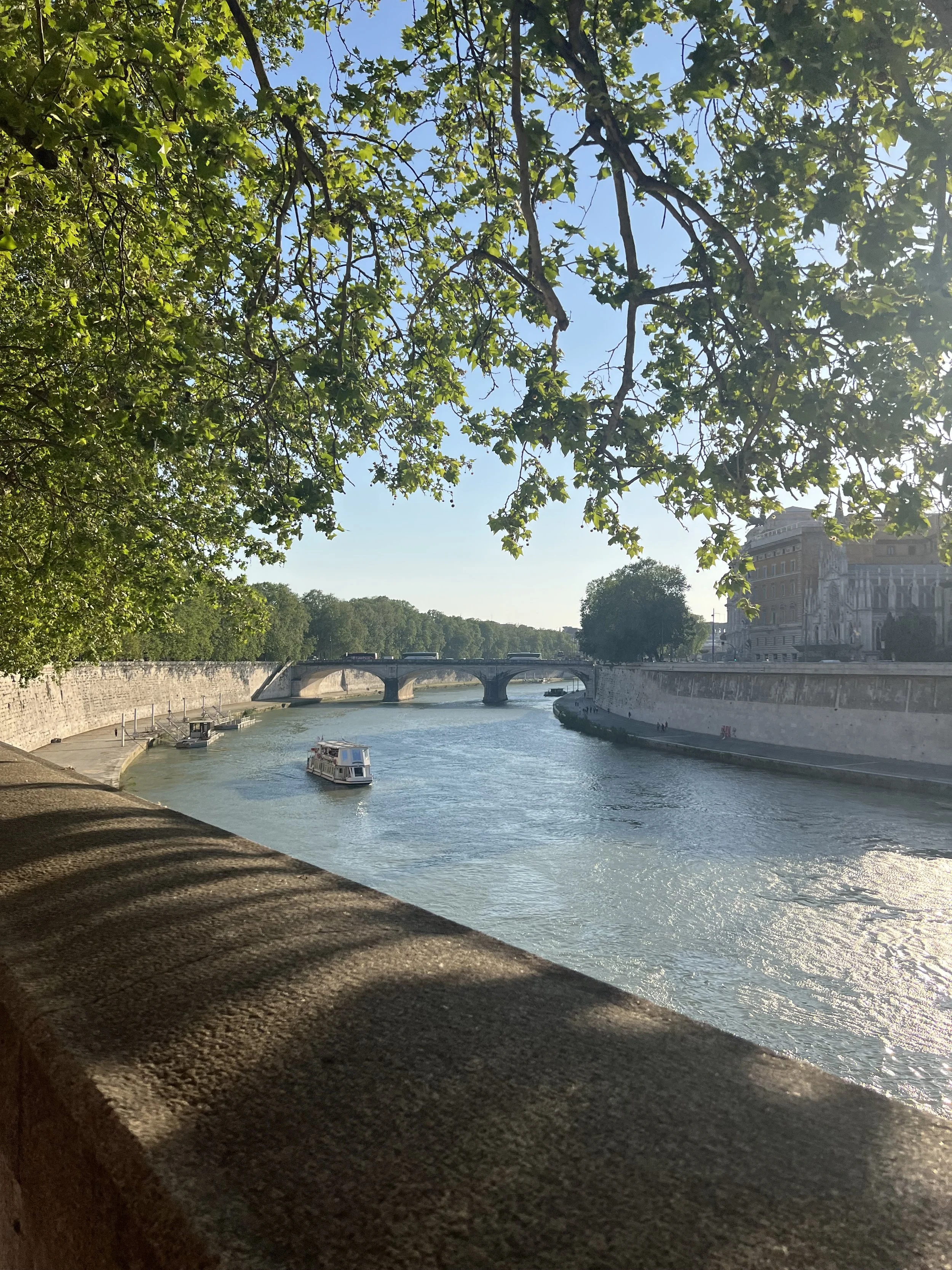 IMG_7677.jpeg