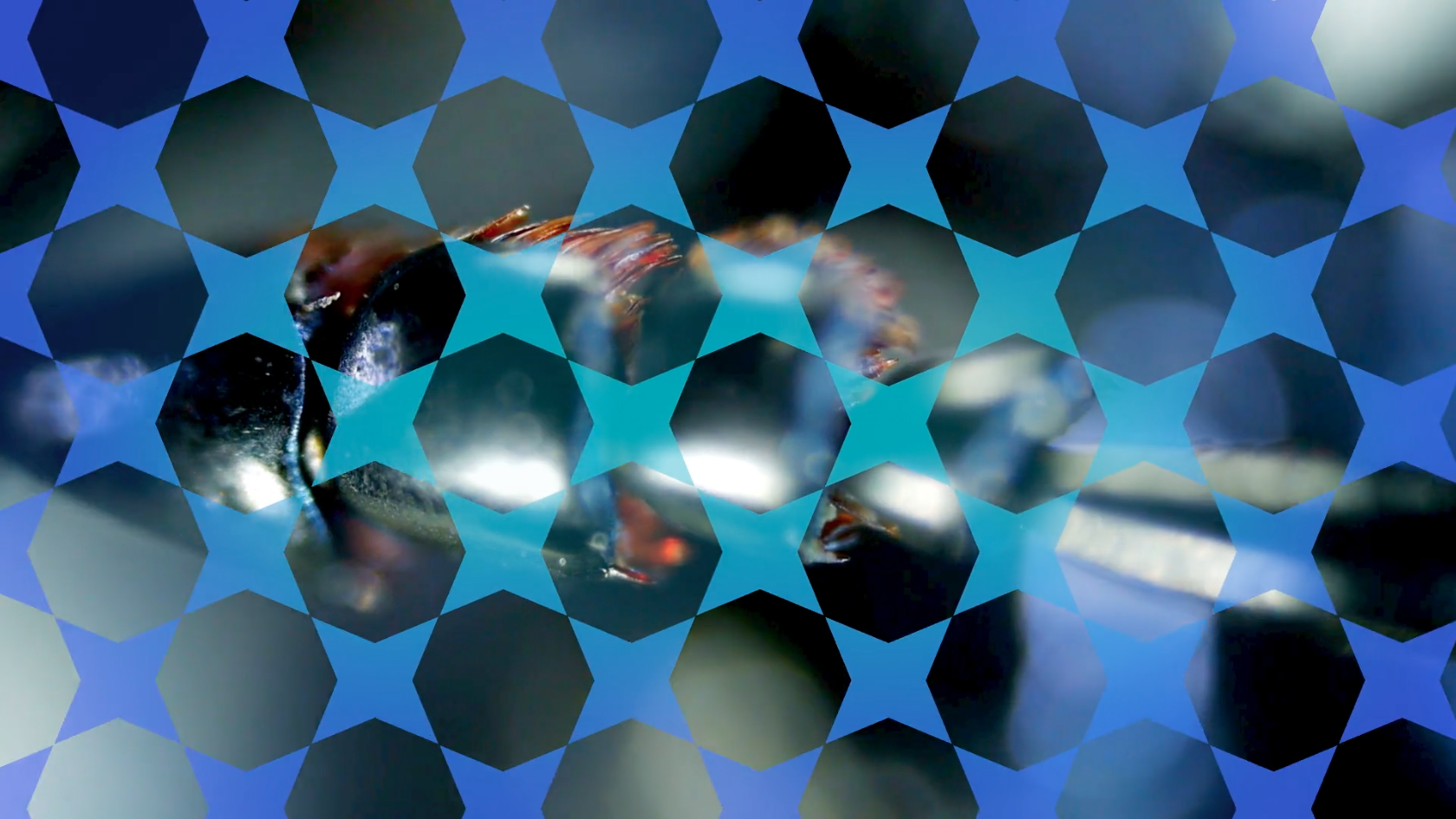 Screen Shot 2017-07-24 at 6.44.21 PM.png