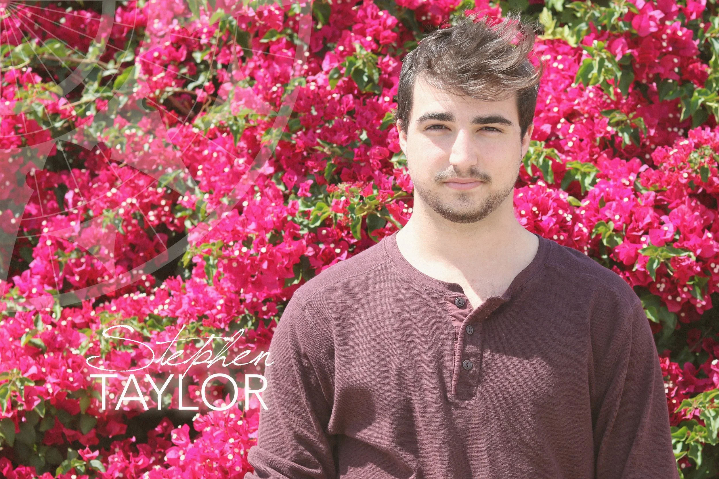 Name - Steve-squashed.jpg