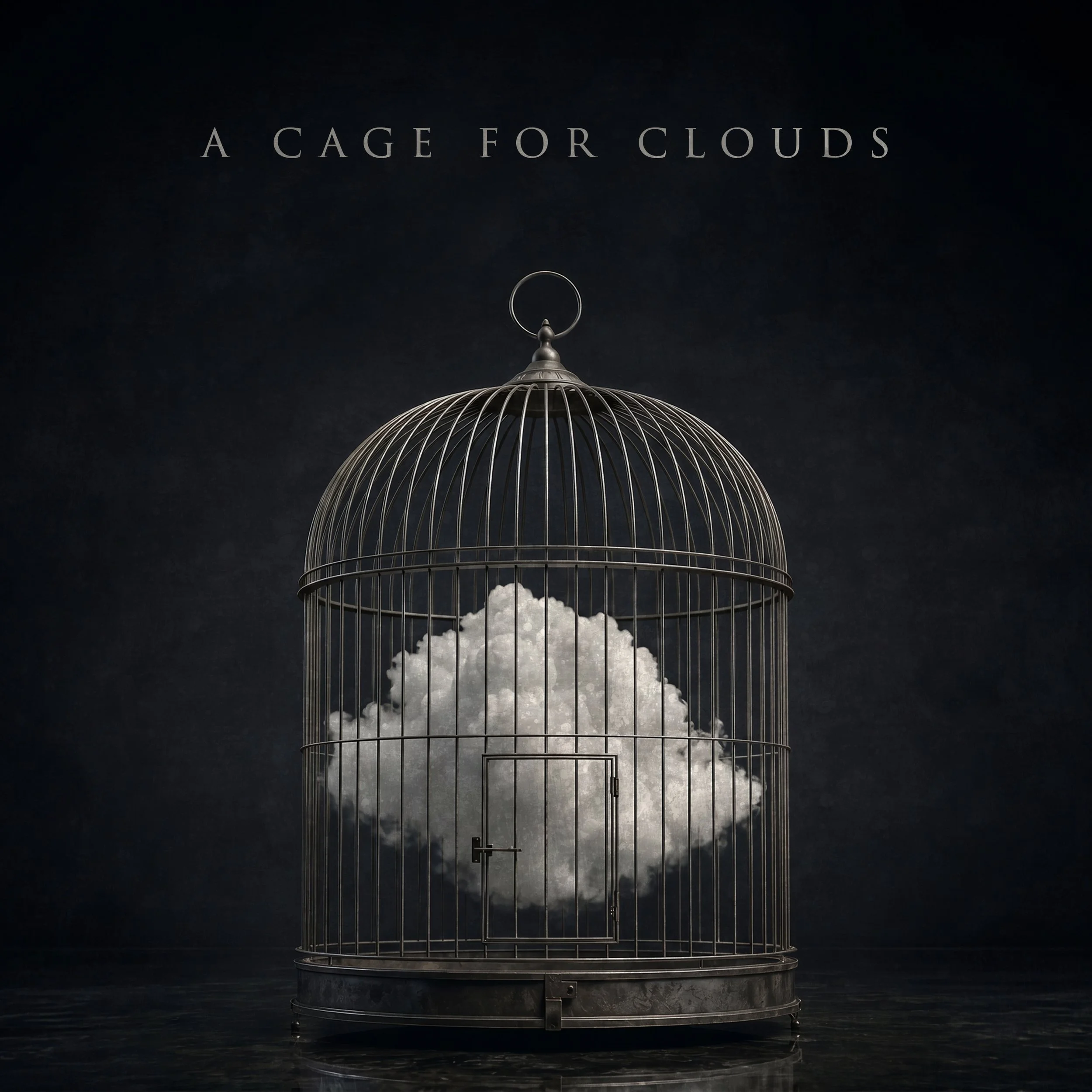 A Cage for Clouds COVER.jpg