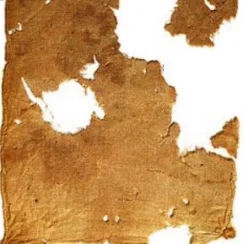 Surviving flax textile fibers