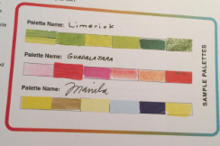 Sample of color palettes that include pantones