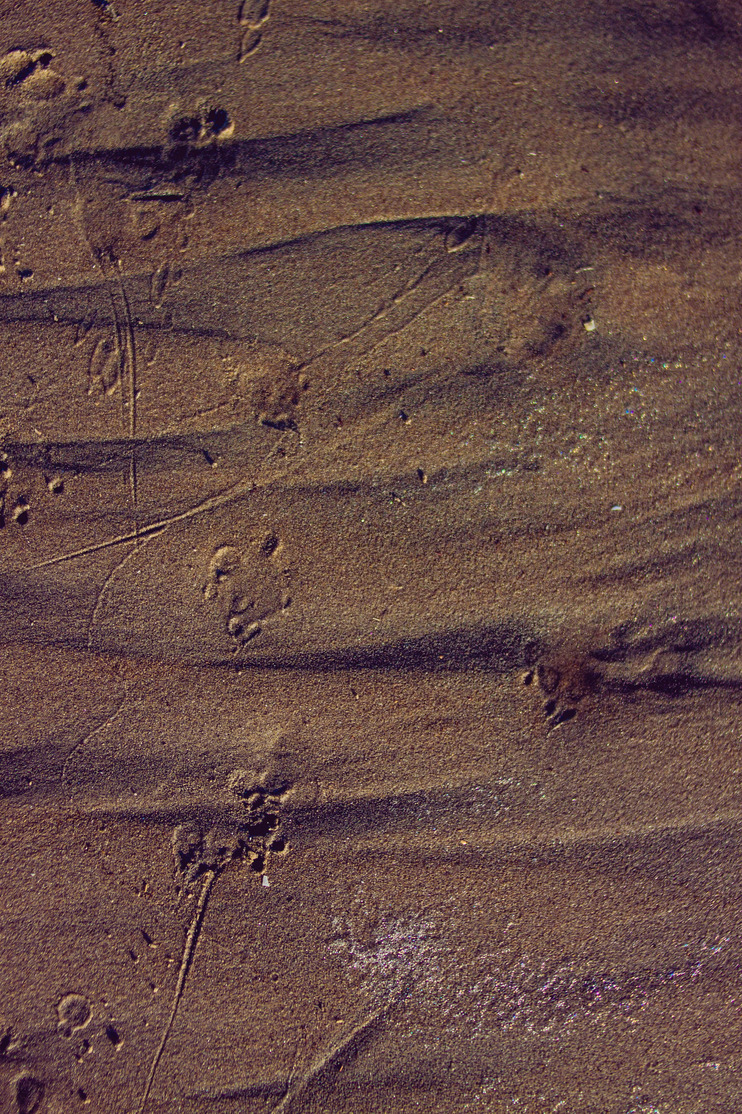2017_02_BeachDay-132.jpg
