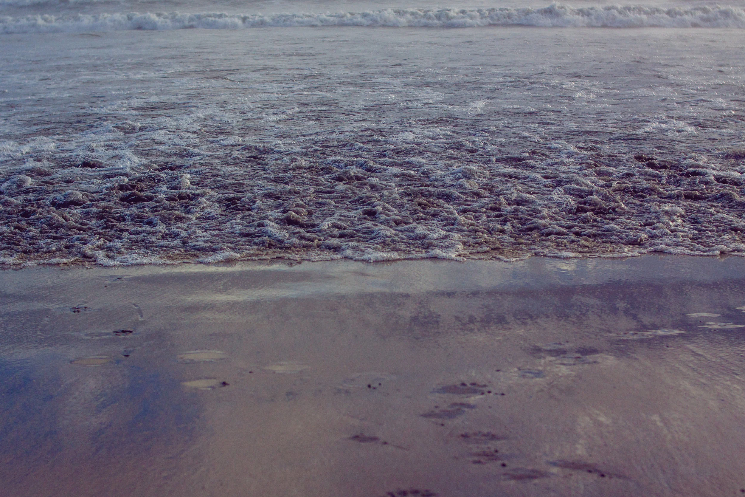 2017_02_BeachDay-147.jpg