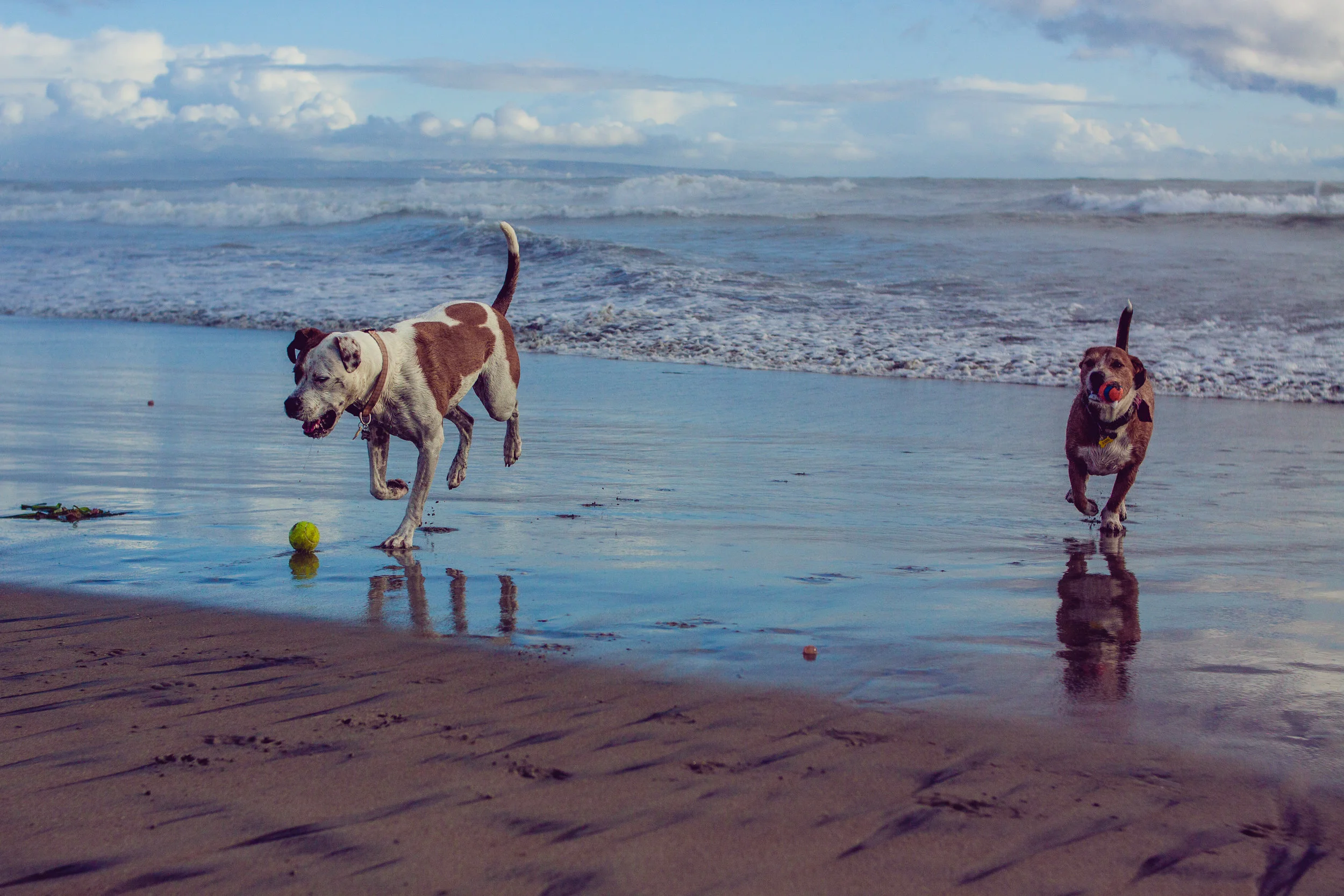 2017_02_BeachDay-151.jpg
