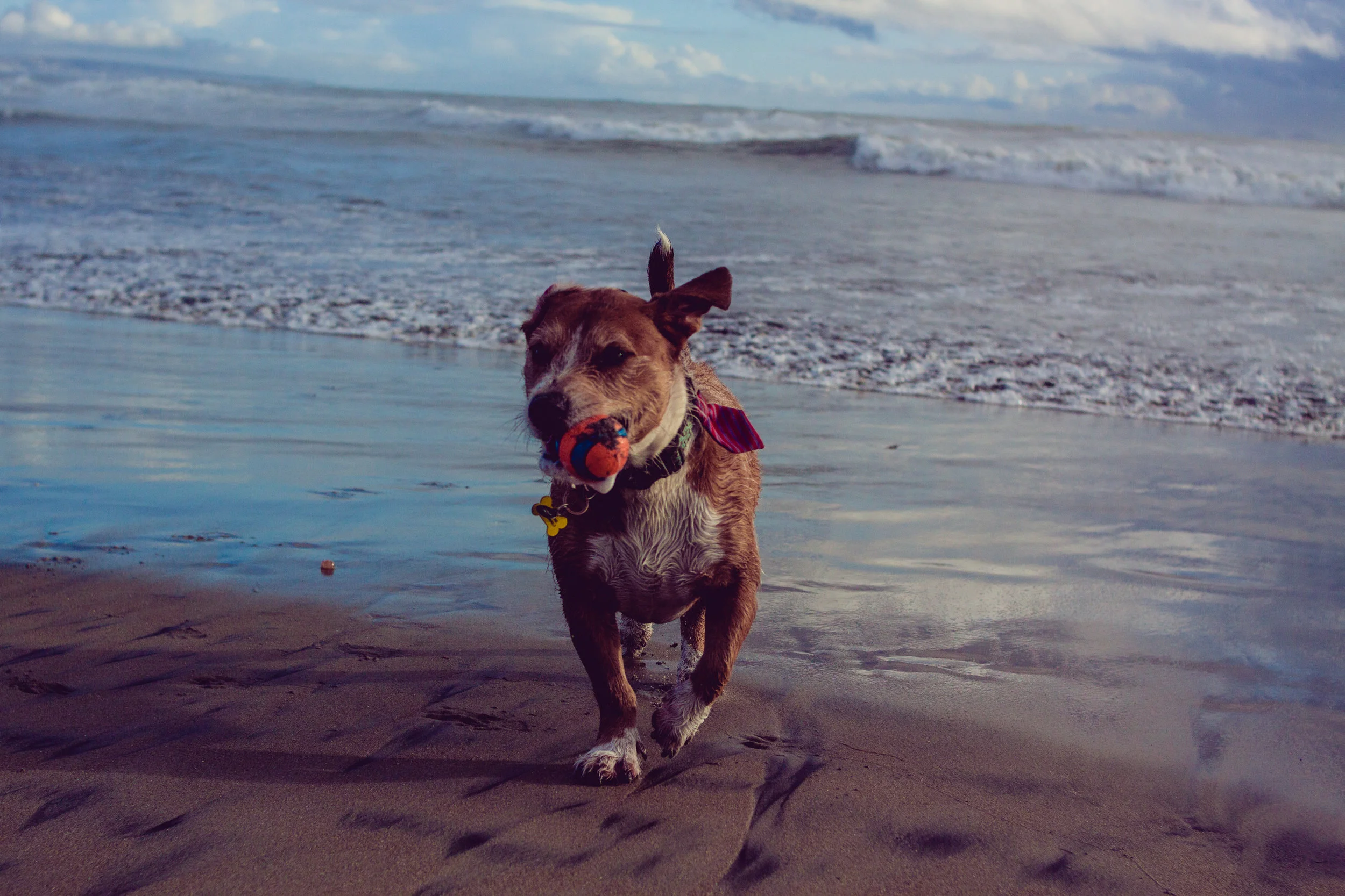 2017_02_BeachDay-152.jpg
