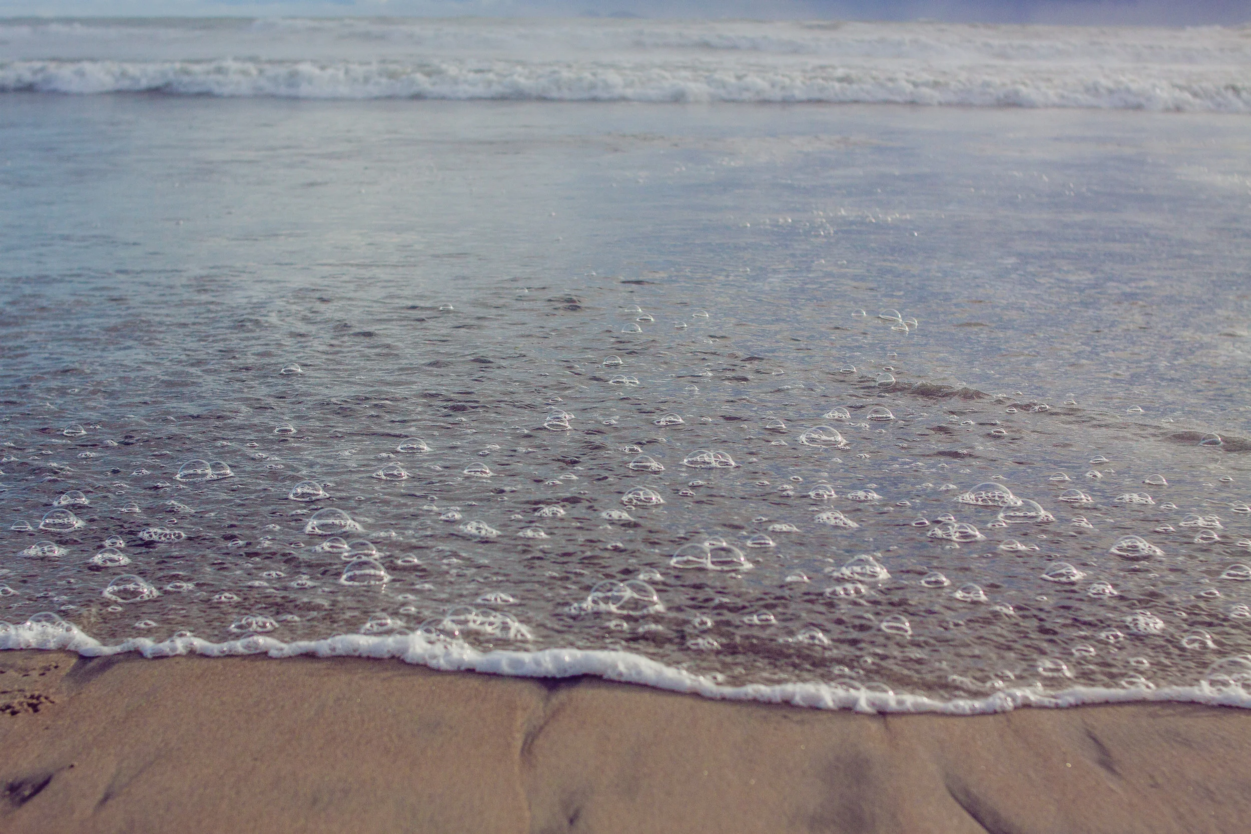 2017_02_BeachDay-153.jpg
