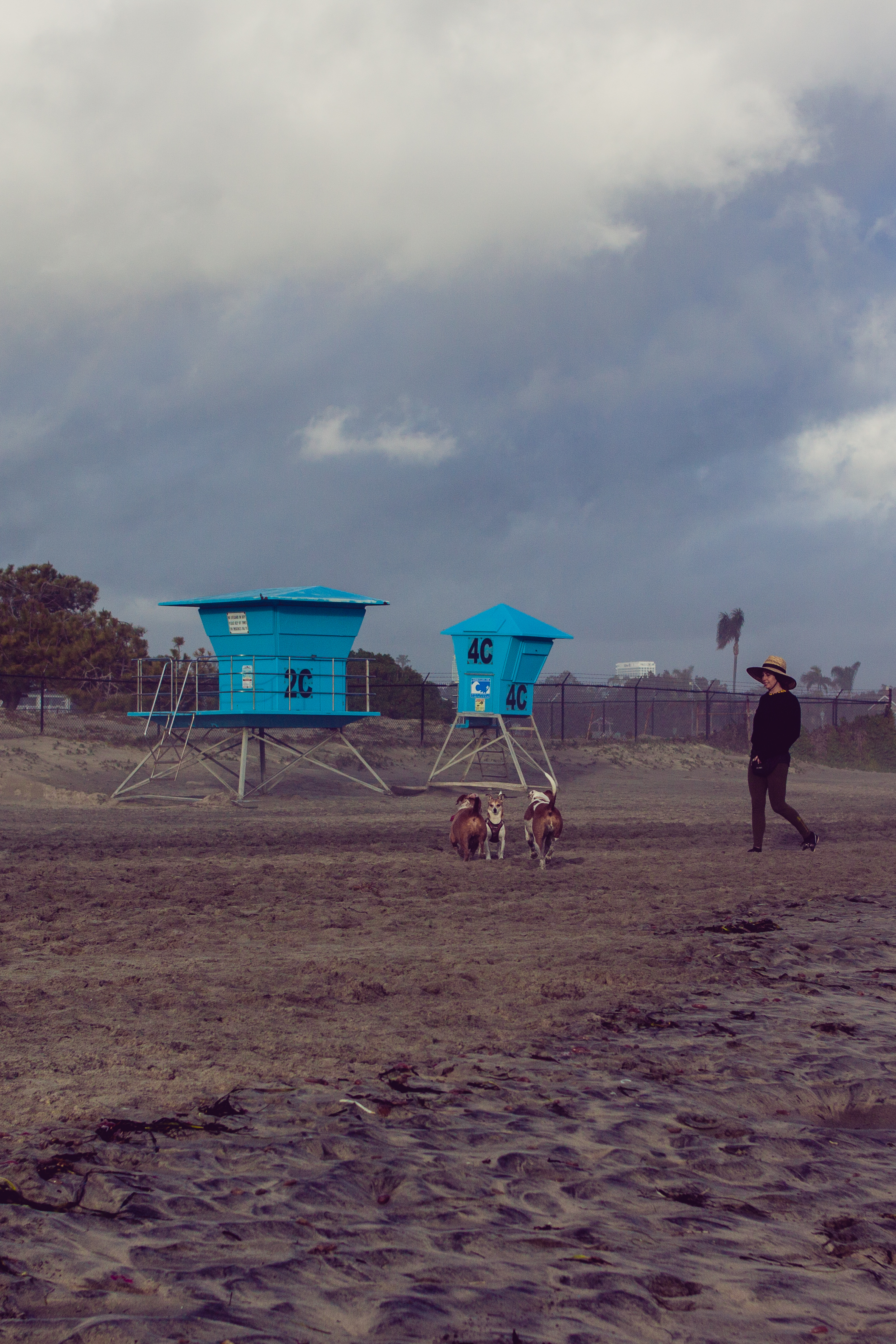 2017_02_BeachDay-154.jpg