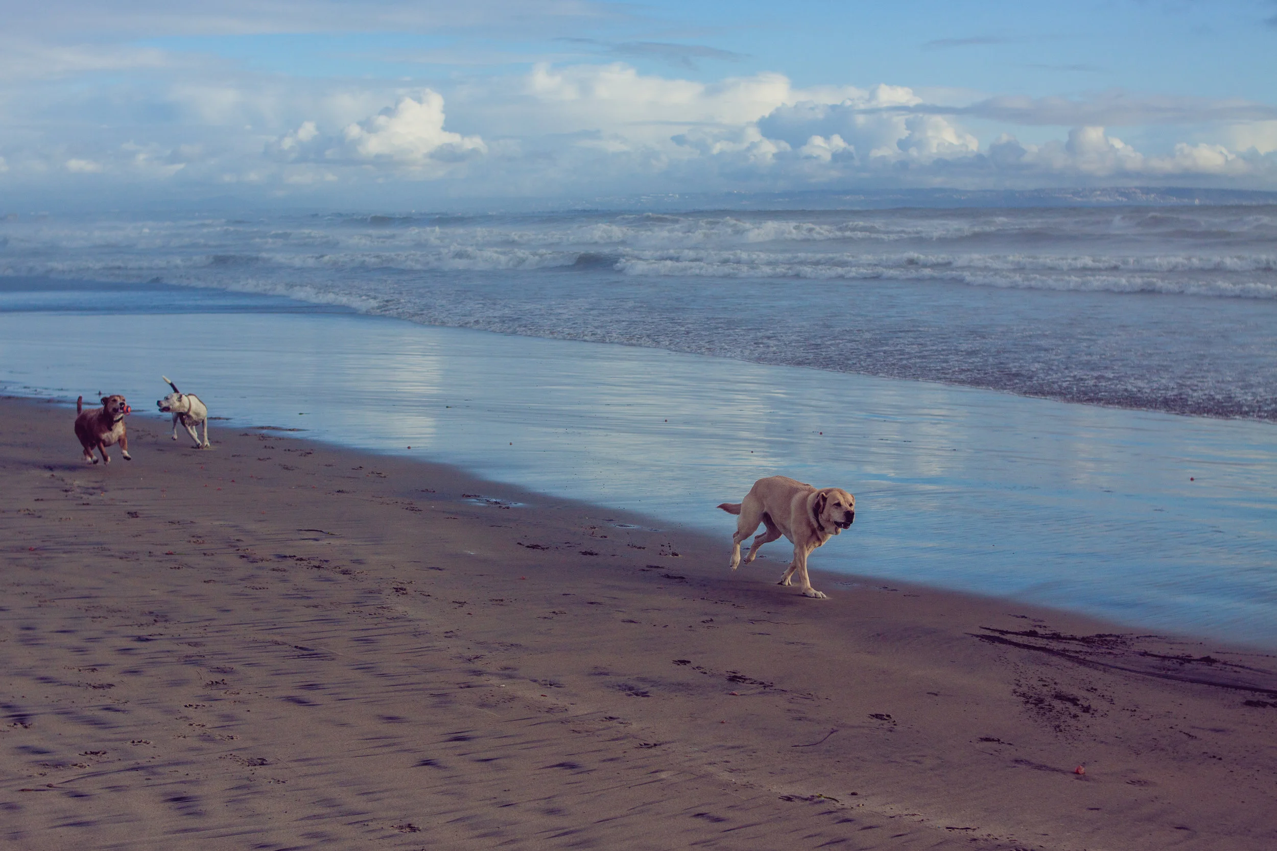 2017_02_BeachDay-155.jpg
