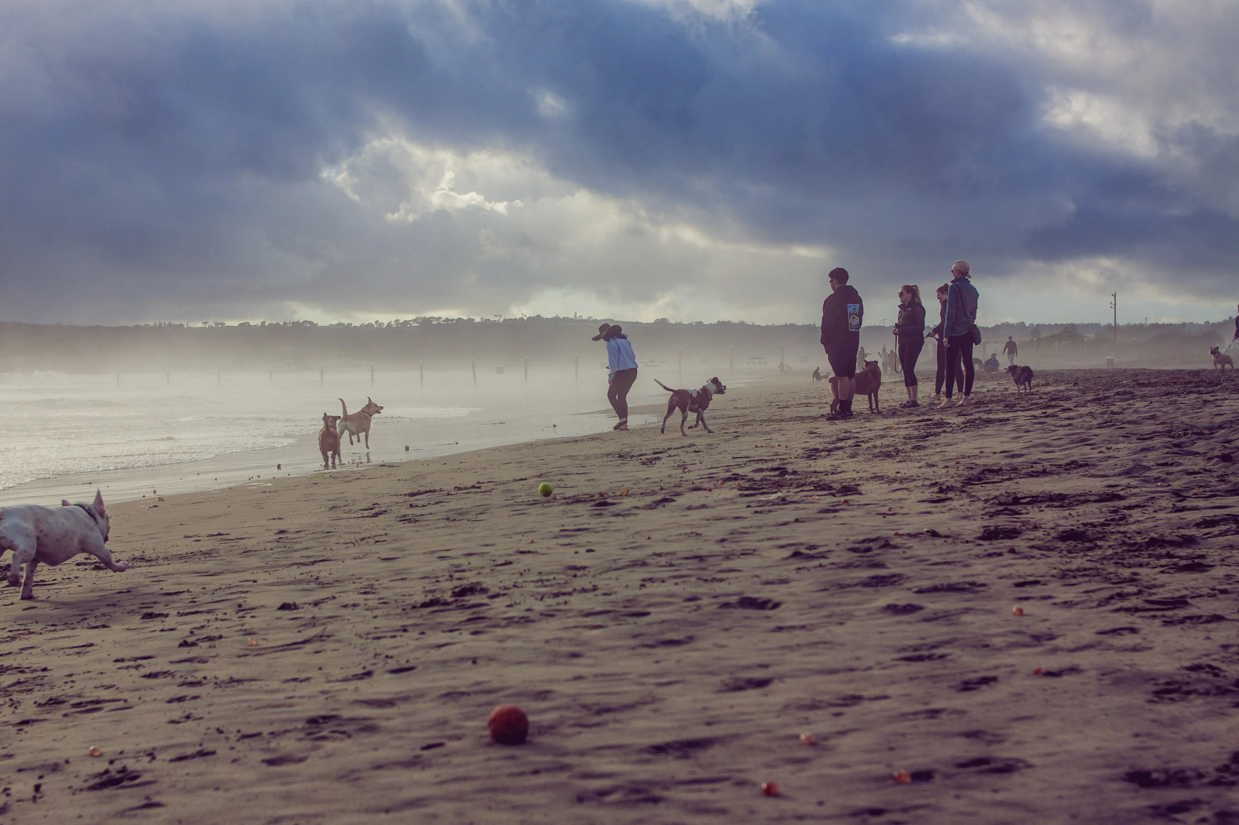 2017_02_BeachDay-157.jpg