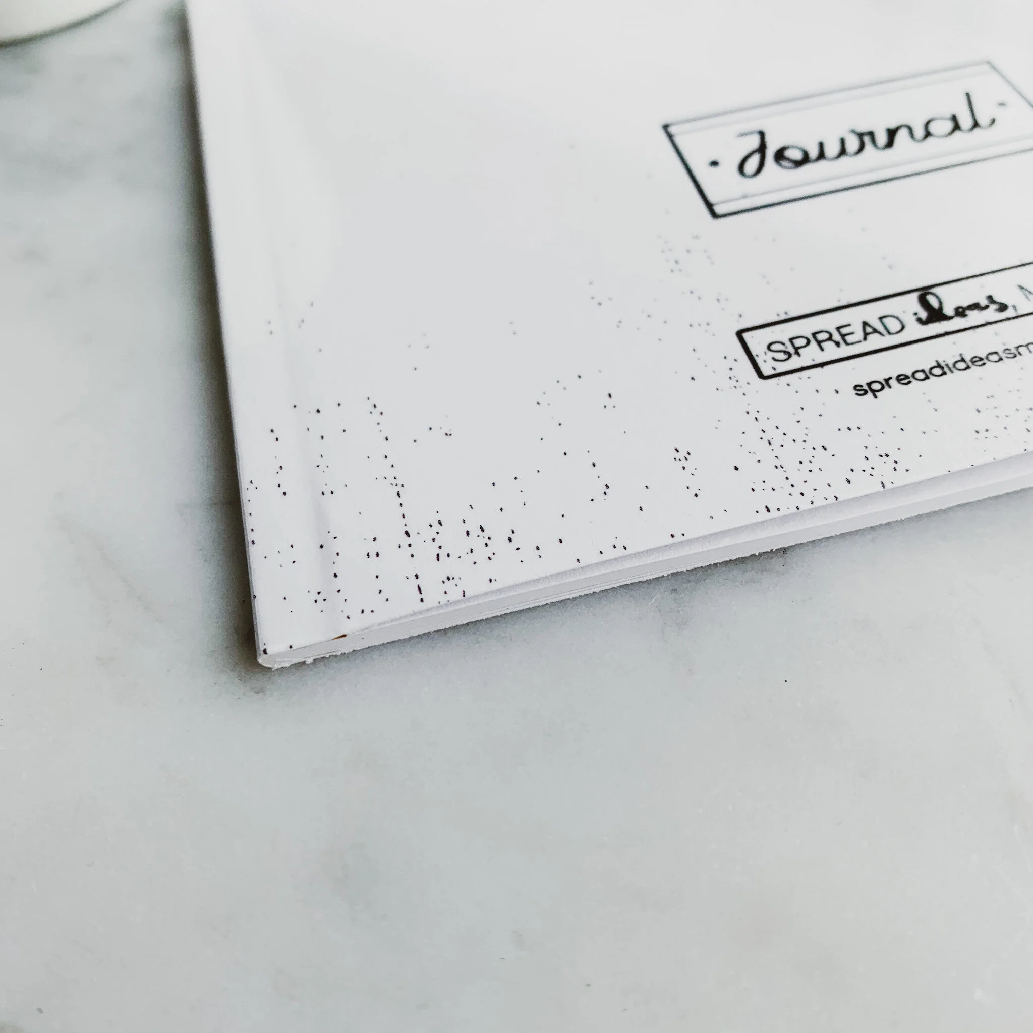 SIMP Vision Buildling Journal 4.JPG