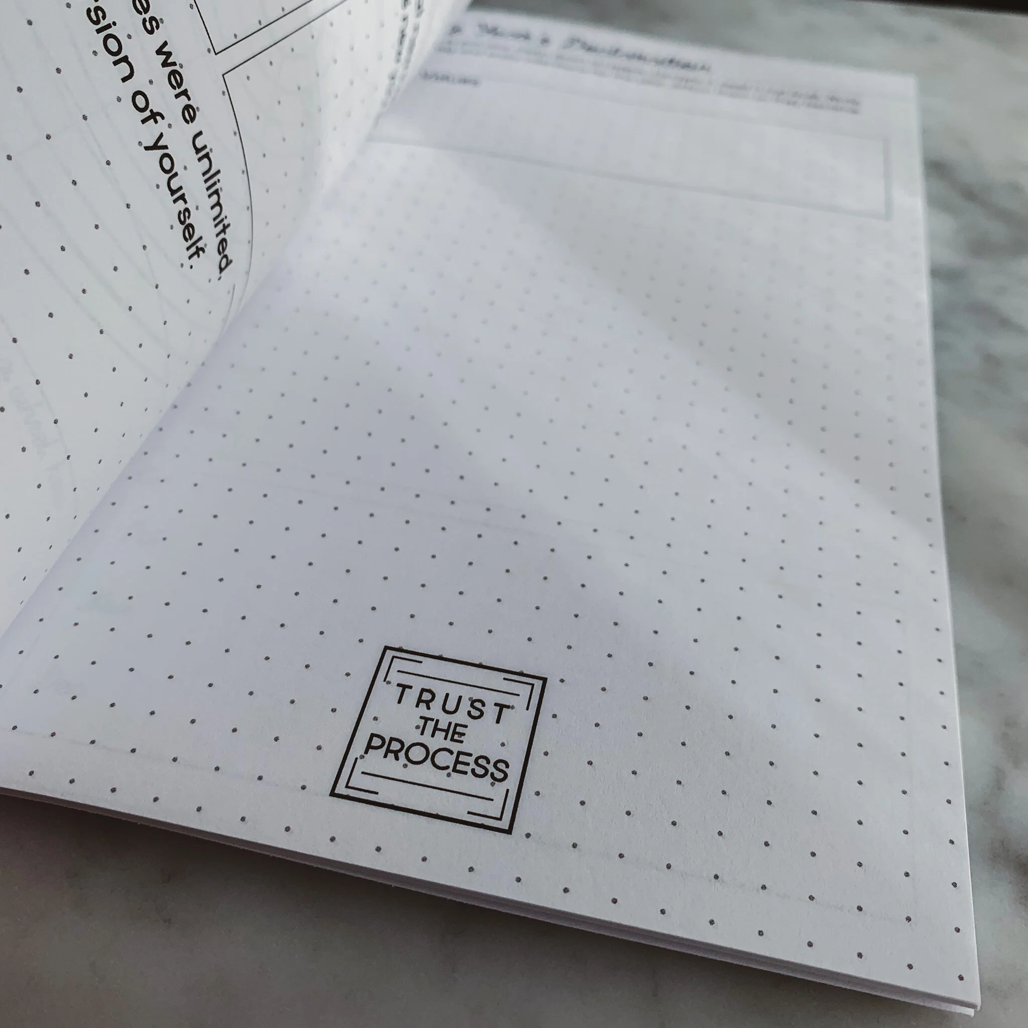 SIMP Vision Buildling Journal 7.JPG